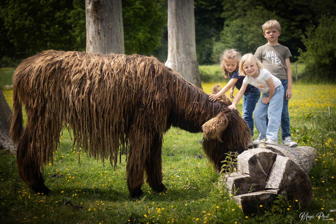 Stage de printemps 🌸
