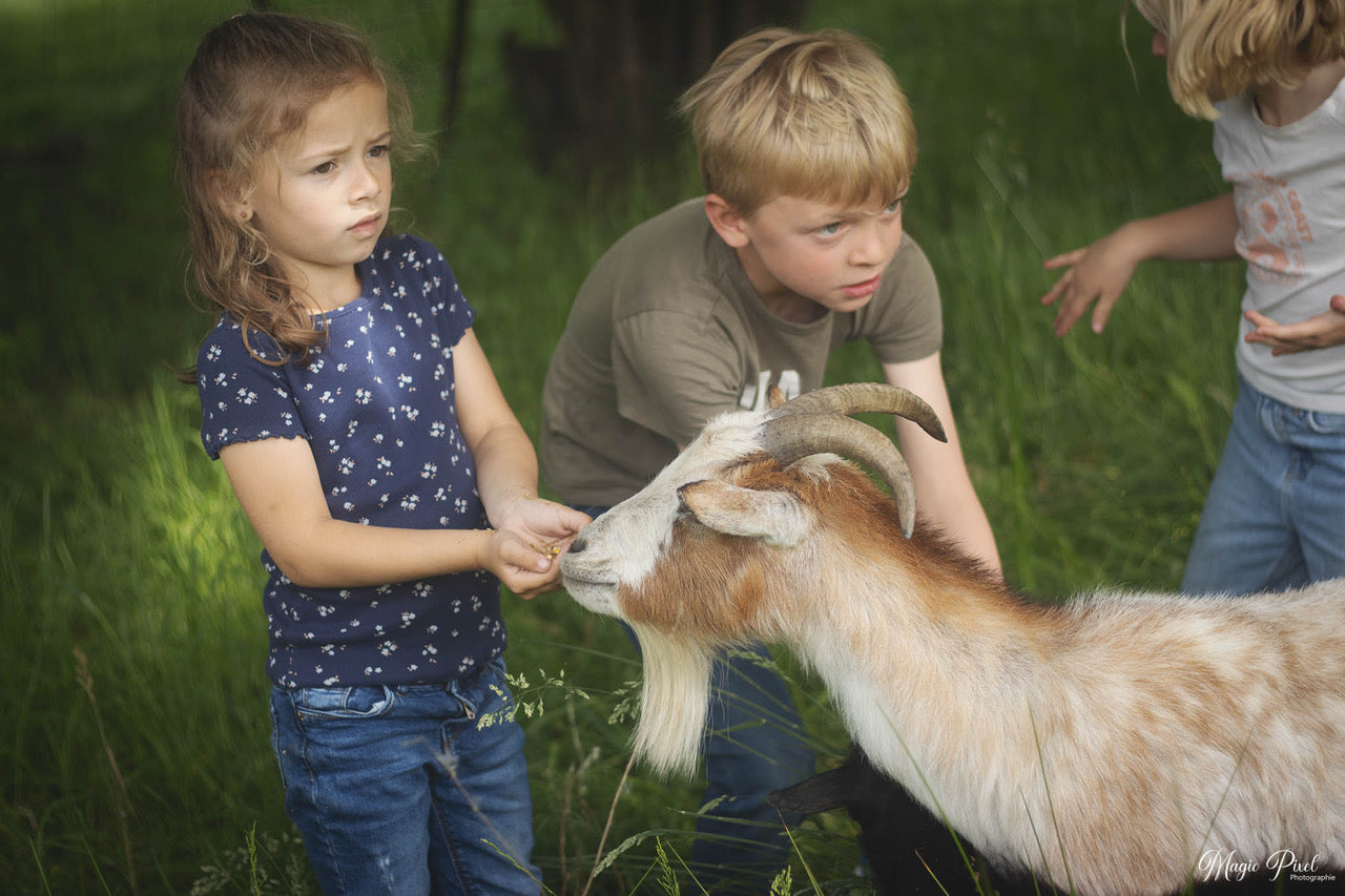Stage de printemps 🌸