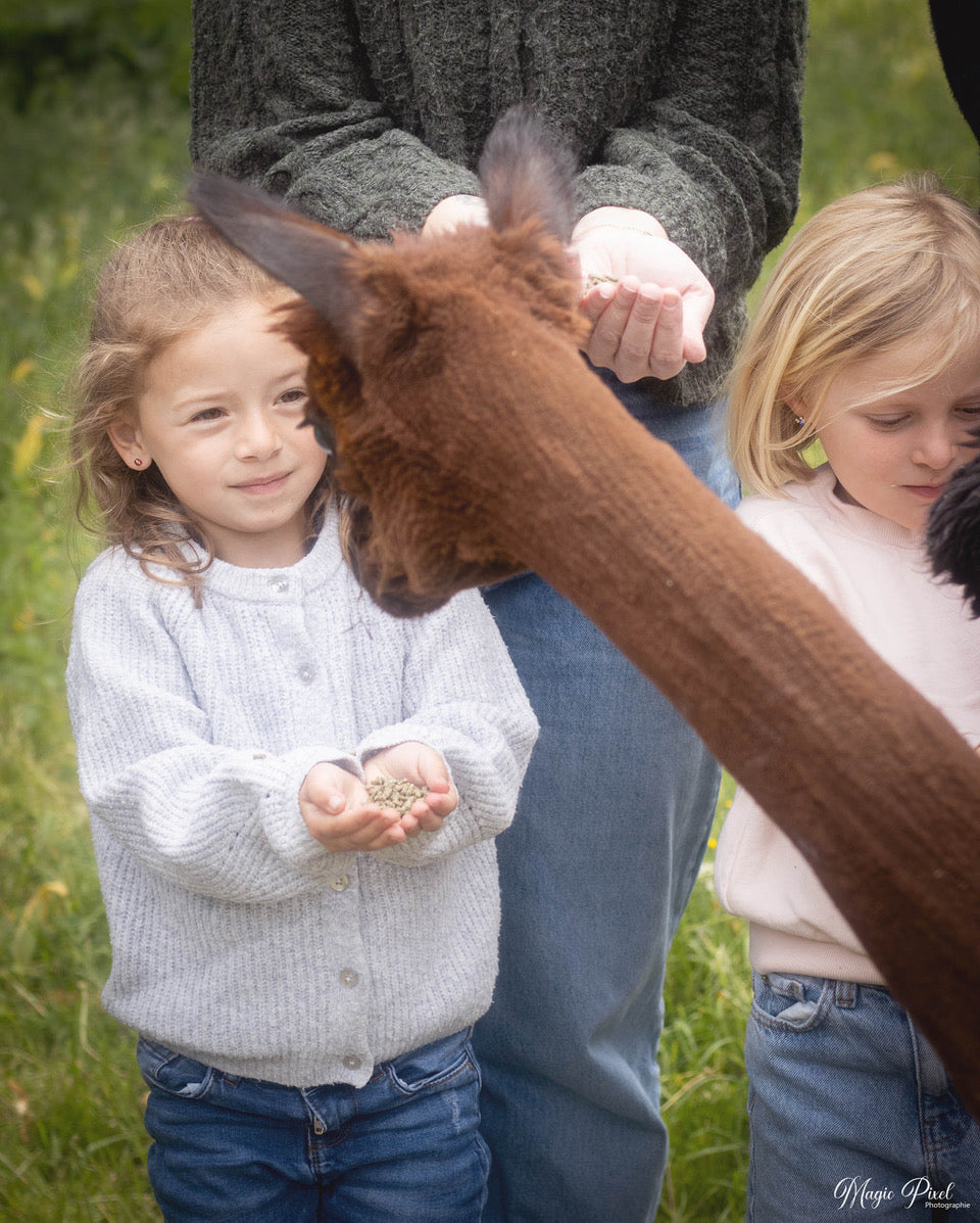 Visite pour les particuliers