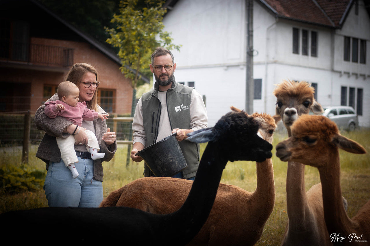 Visite pour les particuliers